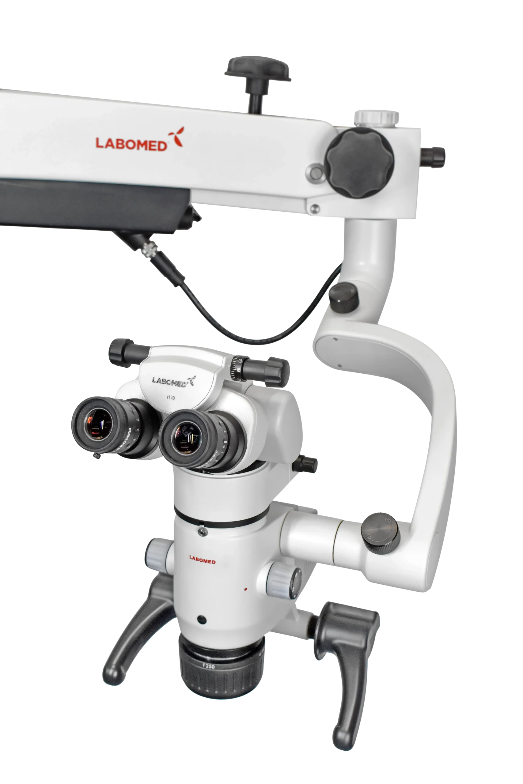 Microscopio Prima Lite en Denart